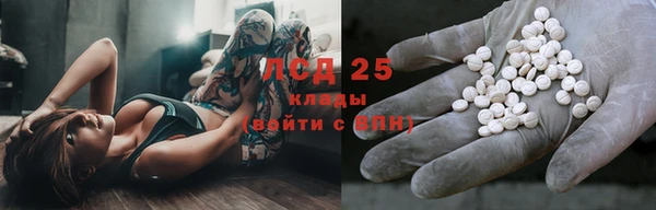 ПСИЛОЦИБИНОВЫЕ ГРИБЫ Богородск