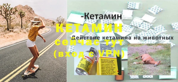 ПСИЛОЦИБИНОВЫЕ ГРИБЫ Богородск
