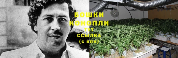 ПСИЛОЦИБИНОВЫЕ ГРИБЫ Богородск