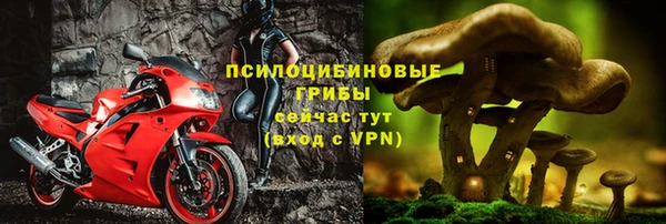 ПСИЛОЦИБИНОВЫЕ ГРИБЫ Богородск