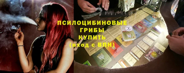ПСИЛОЦИБИНОВЫЕ ГРИБЫ Богородск
