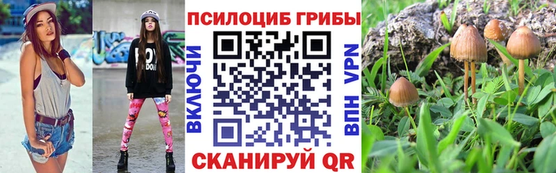 купить наркоту Ростов-на-Дону Псилоцибиновые грибы мицелий